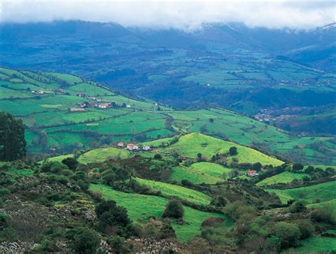 Tablón de Anuncios de Asturias